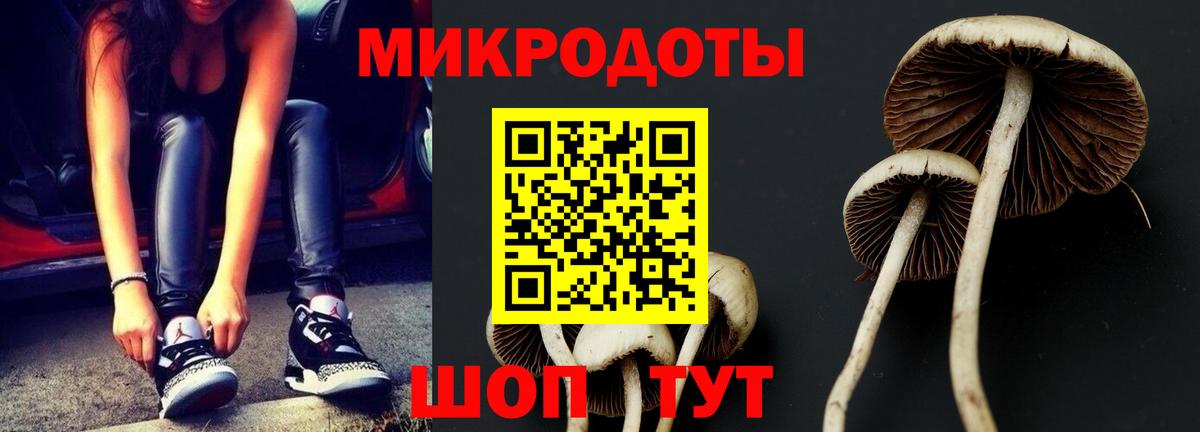 Галлюциногенные грибы GOLDEN TEACHER  Вход с VPN  где можно купить   Екатеринбург 